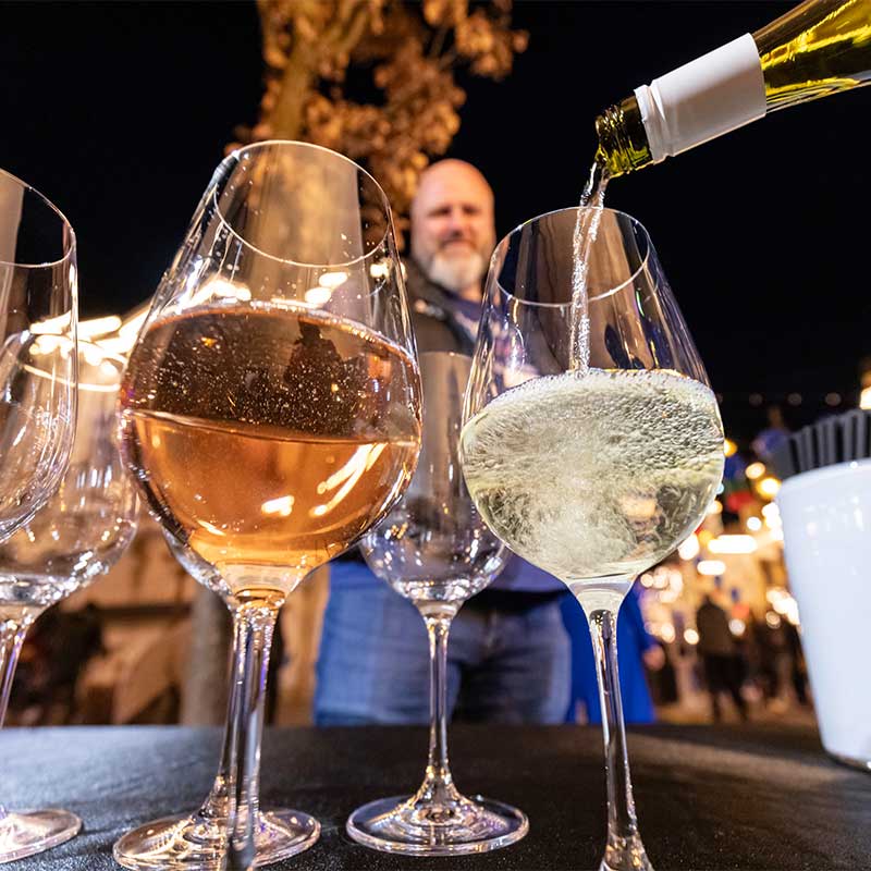 Vineyard Lounge at the Dome