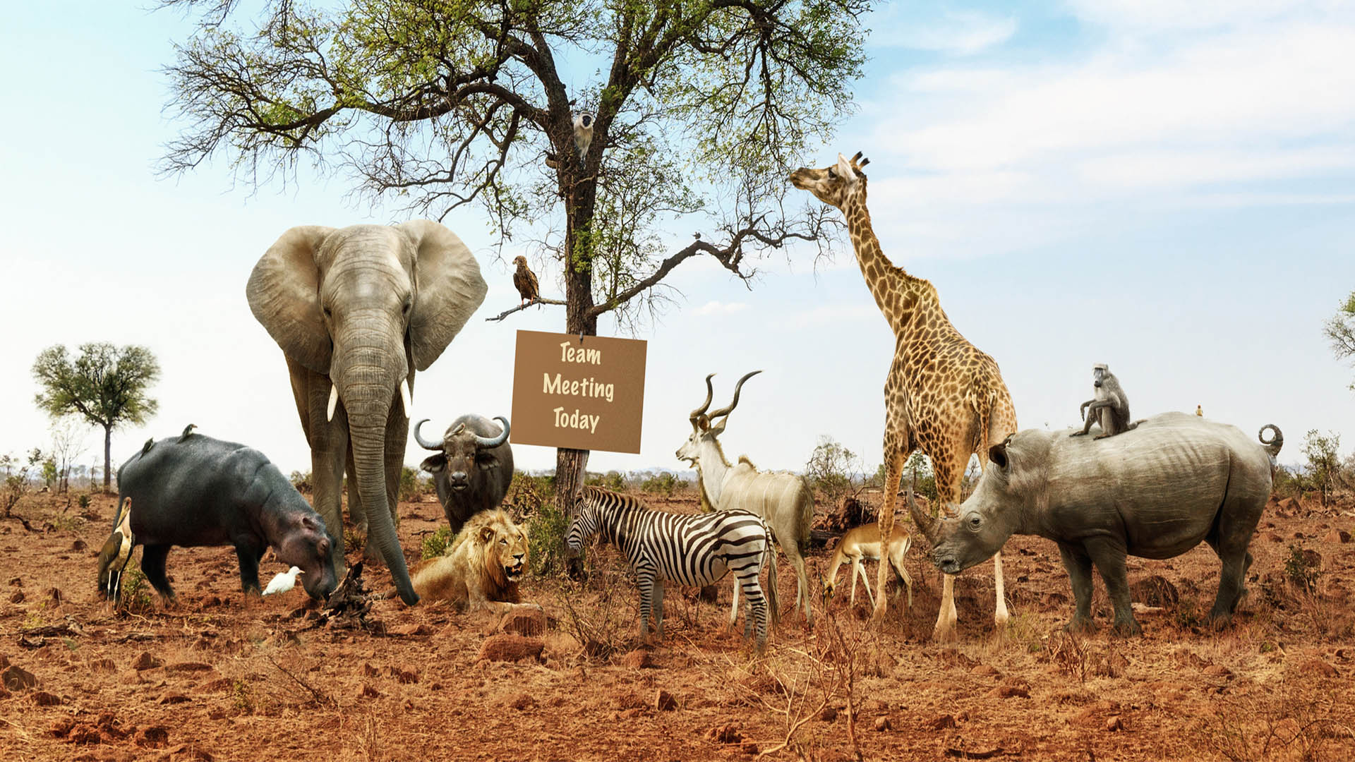 The top 8 US cybersecurity conferences to participate in 2026